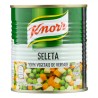 Seleta de Legumes em Conserva Knorr Lata 170g